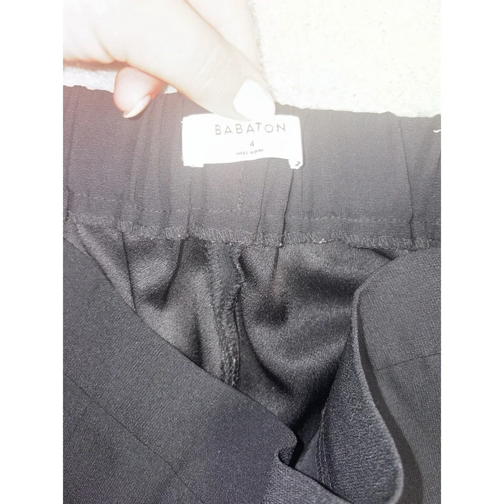 Aritzia babaton conan
